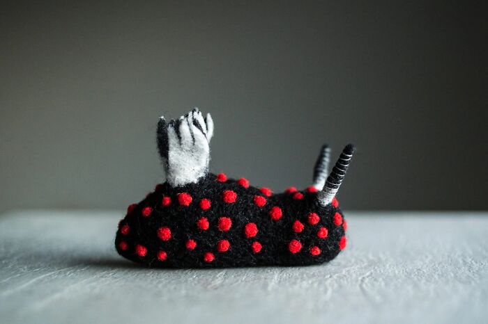 Artist Creates Adorable Felted Figurines Inspired By Colorful Sea Slug Species (34 Pics)