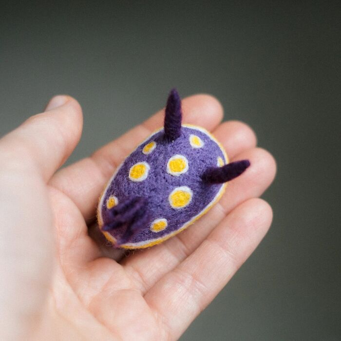 Artist Creates Adorable Felted Figurines Inspired By Colorful Sea Slug Species (34 Pics)