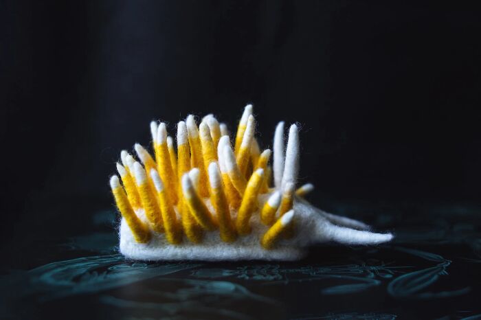 Artist Creates Adorable Felted Figurines Inspired By Colorful Sea Slug Species (34 Pics)