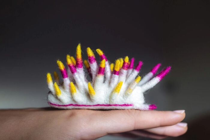 Artist Creates Adorable Felted Figurines Inspired By Colorful Sea Slug Species (34 Pics)