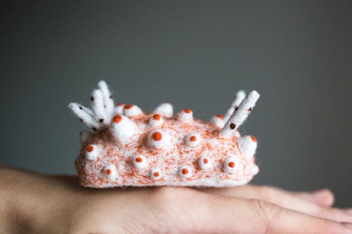 Artist Creates Adorable Felted Figurines Inspired By Colorful Sea Slug Species (34 Pics)