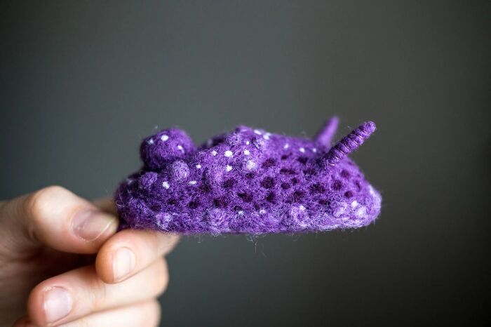 Artist Creates Adorable Felted Figurines Inspired By Colorful Sea Slug Species (34 Pics)
