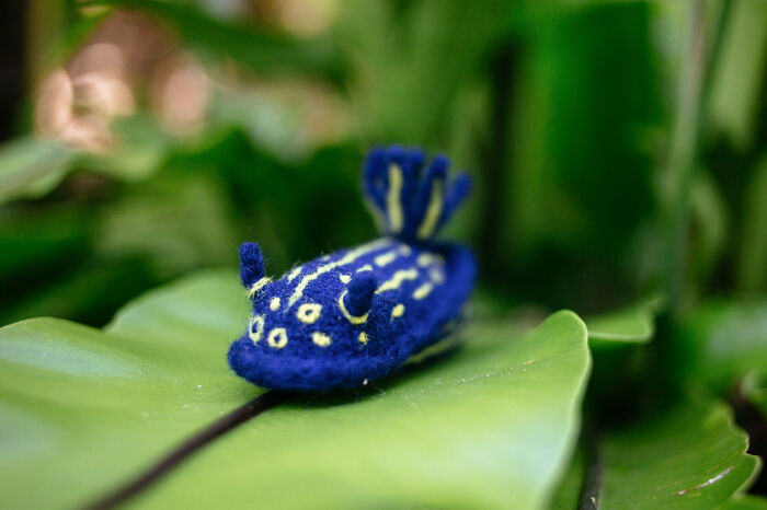 Artist Creates Adorable Felted Figurines Inspired By Colorful Sea Slug Species (34 Pics)