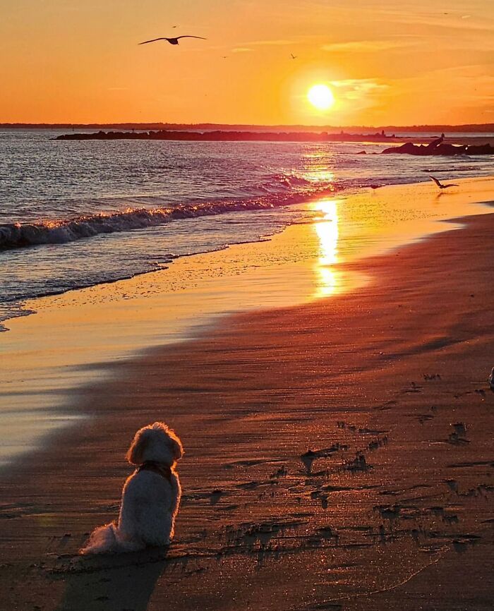 This Page Shares Beach Photography That Should Instantly Put You In A Summer Mood (42 Pics This Page Shares Beach Photography That Should Instantly Put You In A Summer Mood (42 Pics