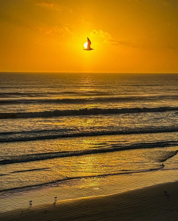 This Page Shares Beach Photography That Should Instantly Put You In A Summer Mood (42 Pics This Page Shares Beach Photography That Should Instantly Put You In A Summer Mood (42 Pics