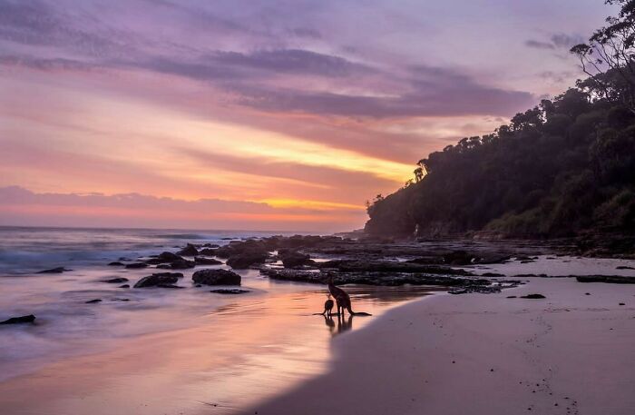 This Page Shares Beach Photography That Should Instantly Put You In A Summer Mood (42 Pics This Page Shares Beach Photography That Should Instantly Put You In A Summer Mood (42 Pics