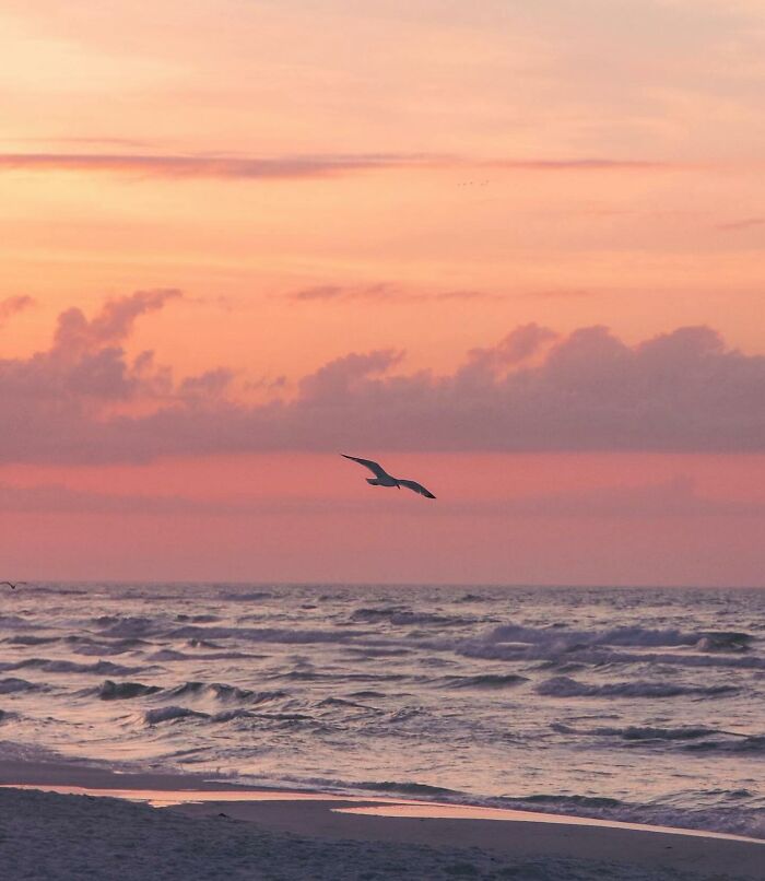 This Page Shares Beach Photography That Should Instantly Put You In A Summer Mood (42 Pics This Page Shares Beach Photography That Should Instantly Put You In A Summer Mood (42 Pics