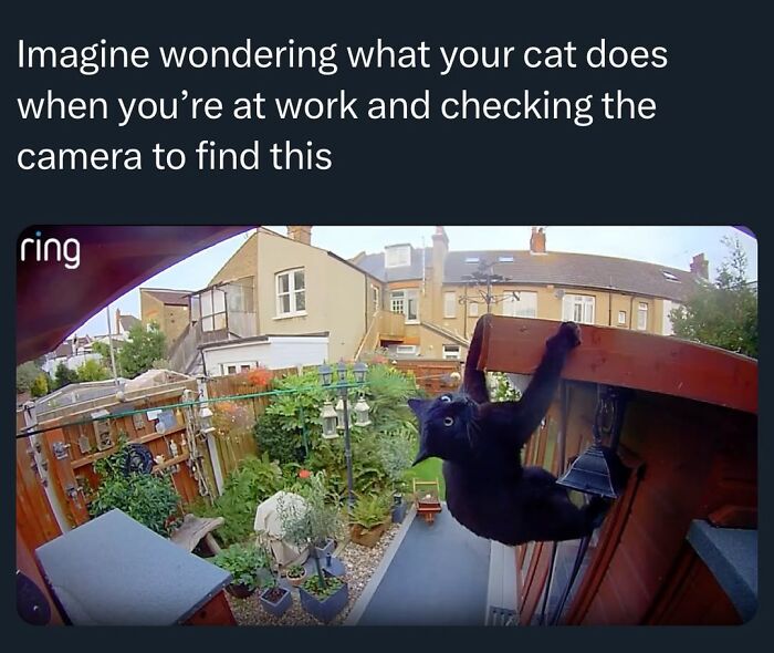 50 Funny Posts From “Animals Doing Things” That Might Bring Some Sunshine To Your Day 50 Funny Posts From “Animals Doing Things” That Might Bring Some Sunshine To Your Day