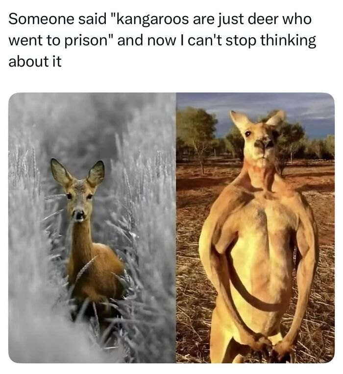 50 Funny Posts From “Animals Doing Things” That Might Bring Some Sunshine To Your Day 50 Funny Posts From “Animals Doing Things” That Might Bring Some Sunshine To Your Day