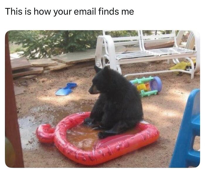 50 Funny Posts From “Animals Doing Things” That Might Bring Some Sunshine To Your Day 50 Funny Posts From “Animals Doing Things” That Might Bring Some Sunshine To Your Day