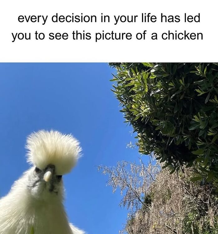 50 Funny Posts From “Animals Doing Things” That Might Bring Some Sunshine To Your Day 50 Funny Posts From “Animals Doing Things” That Might Bring Some Sunshine To Your Day