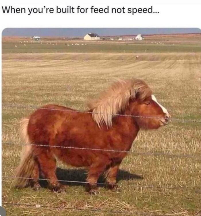 50 Funny Posts From “Animals Doing Things” That Might Bring Some Sunshine To Your Day 50 Funny Posts From “Animals Doing Things” That Might Bring Some Sunshine To Your Day