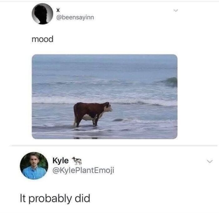 50 Funny Posts From “Animals Doing Things” That Might Bring Some Sunshine To Your Day 50 Funny Posts From “Animals Doing Things” That Might Bring Some Sunshine To Your Day