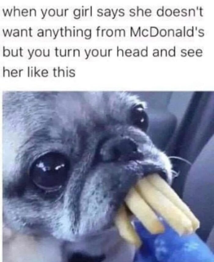 50 Funny Posts From “Animals Doing Things” That Might Bring Some Sunshine To Your Day 50 Funny Posts From “Animals Doing Things” That Might Bring Some Sunshine To Your Day