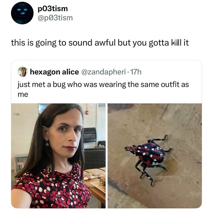 50 Funny Posts From “Animals Doing Things” That Might Bring Some Sunshine To Your Day 50 Funny Posts From “Animals Doing Things” That Might Bring Some Sunshine To Your Day