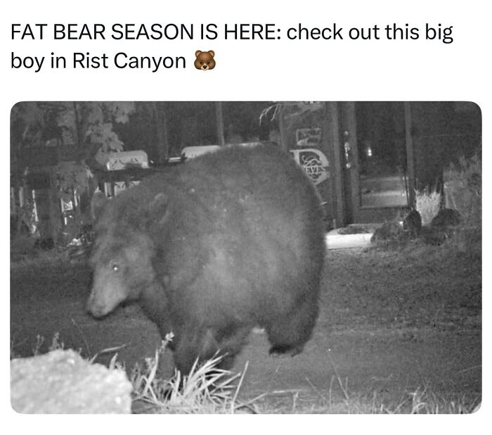 50 Funny Posts From “Animals Doing Things” That Might Bring Some Sunshine To Your Day 50 Funny Posts From “Animals Doing Things” That Might Bring Some Sunshine To Your Day