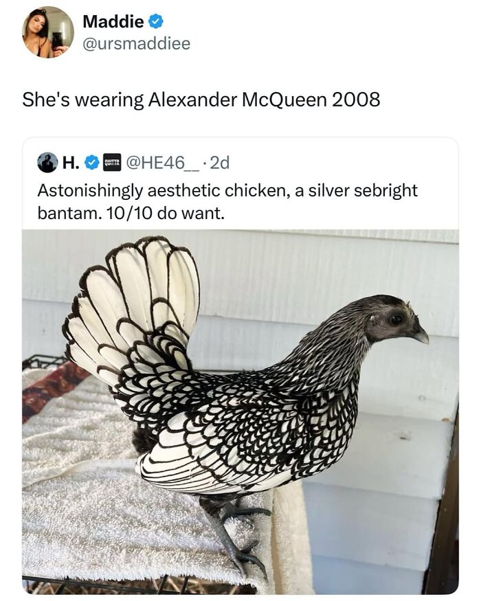 50 Funny Posts From “Animals Doing Things” That Might Bring Some Sunshine To Your Day 50 Funny Posts From “Animals Doing Things” That Might Bring Some Sunshine To Your Day