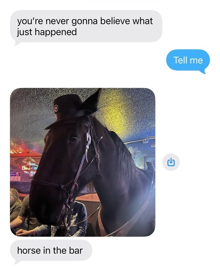 50 Funny Posts From “Animals Doing Things” That Might Bring Some Sunshine To Your Day 50 Funny Posts From “Animals Doing Things” That Might Bring Some Sunshine To Your Day