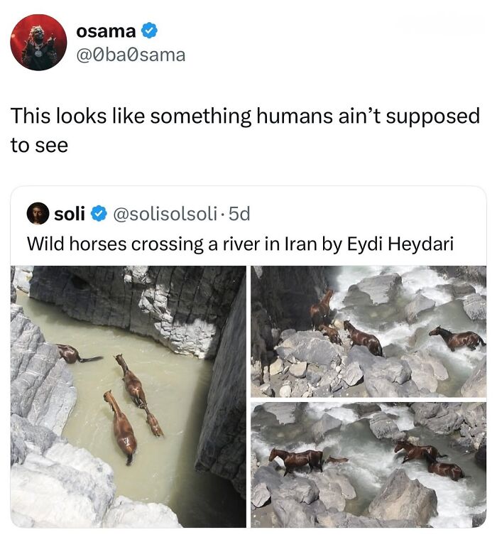 50 Funny Posts From “Animals Doing Things” That Might Bring Some Sunshine To Your Day 50 Funny Posts From “Animals Doing Things” That Might Bring Some Sunshine To Your Day