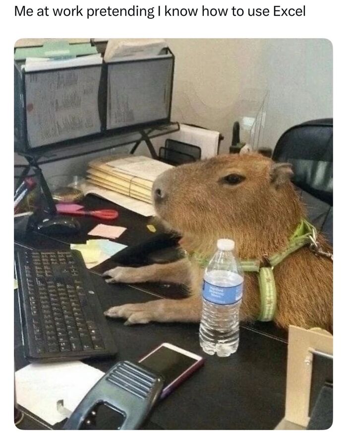 50 Funny Posts From “Animals Doing Things” That Might Bring Some Sunshine To Your Day 50 Funny Posts From “Animals Doing Things” That Might Bring Some Sunshine To Your Day