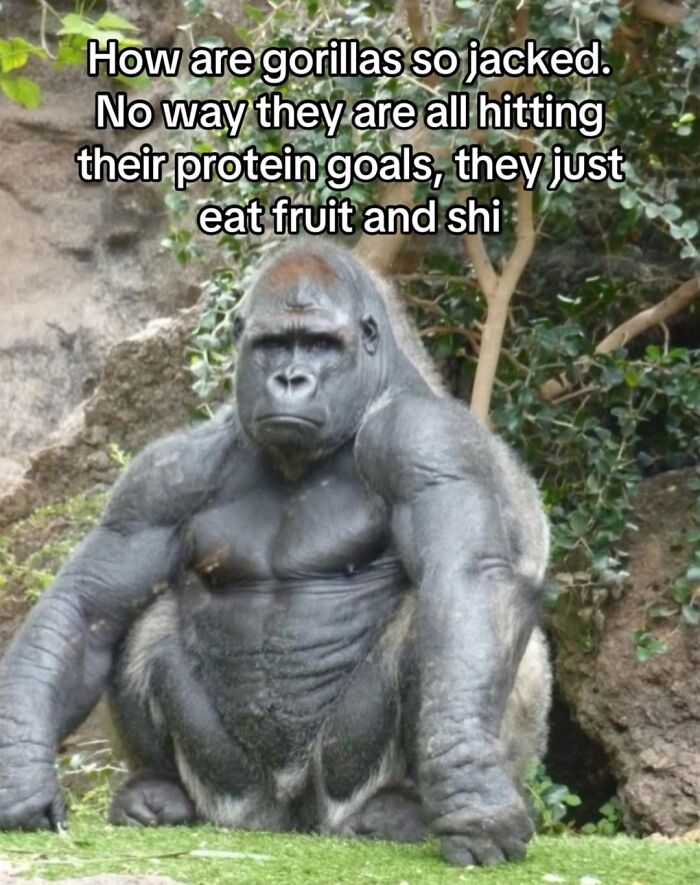 50 Funny Posts From “Animals Doing Things” That Might Bring Some Sunshine To Your Day 50 Funny Posts From “Animals Doing Things” That Might Bring Some Sunshine To Your Day