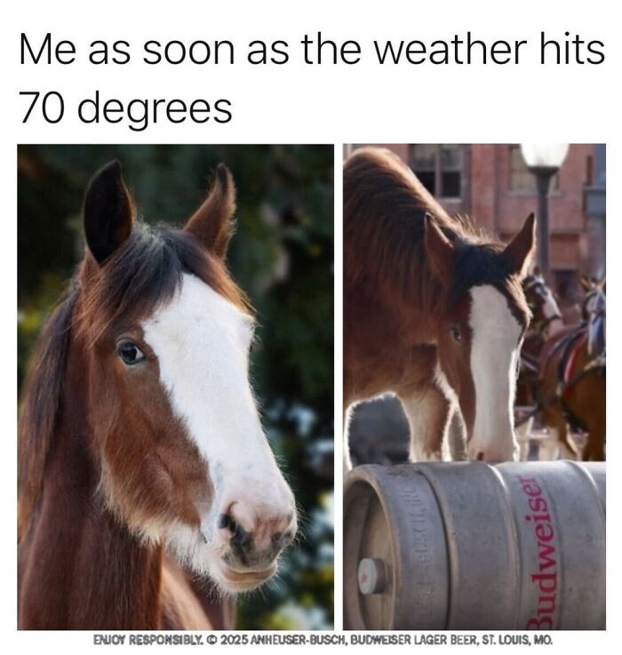 50 Funny Posts From “Animals Doing Things” That Might Bring Some Sunshine To Your Day 50 Funny Posts From “Animals Doing Things” That Might Bring Some Sunshine To Your Day