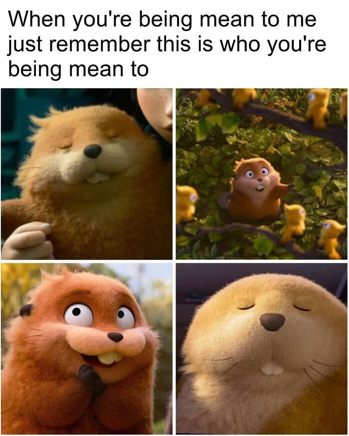 50 Funny Posts From “Animals Doing Things” That Might Bring Some Sunshine To Your Day 50 Funny Posts From “Animals Doing Things” That Might Bring Some Sunshine To Your Day