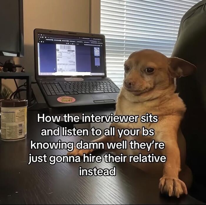 50 Funny Posts From “Animals Doing Things” That Might Bring Some Sunshine To Your Day 50 Funny Posts From “Animals Doing Things” That Might Bring Some Sunshine To Your Day