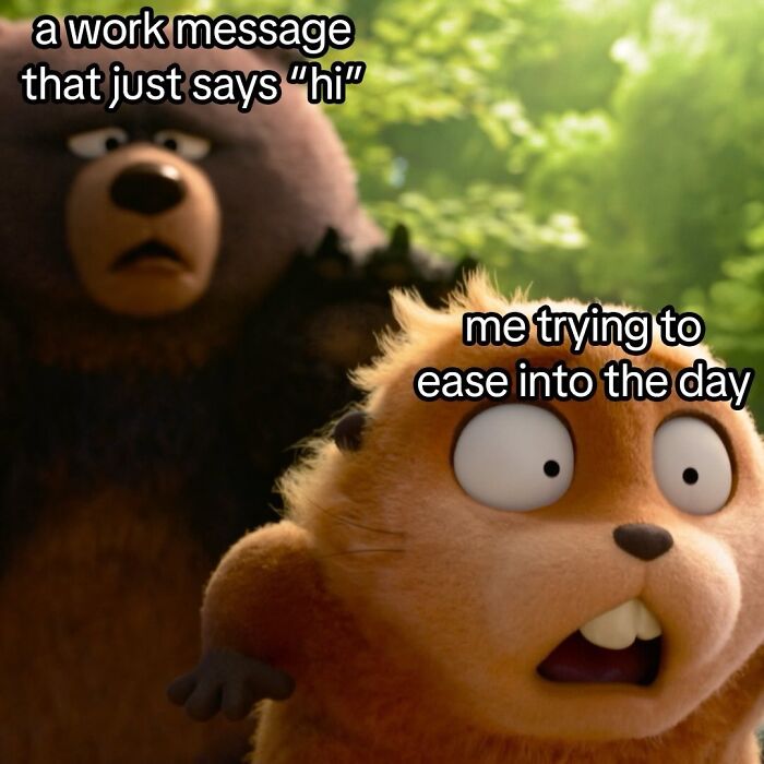 50 Funny Posts From “Animals Doing Things” That Might Bring Some Sunshine To Your Day 50 Funny Posts From “Animals Doing Things” That Might Bring Some Sunshine To Your Day