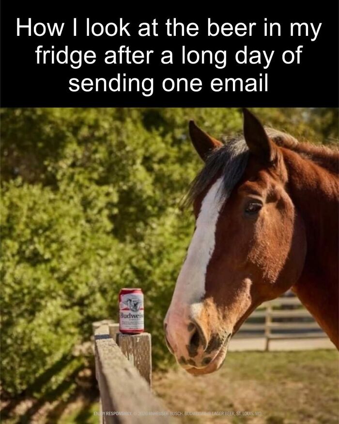 50 Funny Posts From “Animals Doing Things” That Might Bring Some Sunshine To Your Day 50 Funny Posts From “Animals Doing Things” That Might Bring Some Sunshine To Your Day