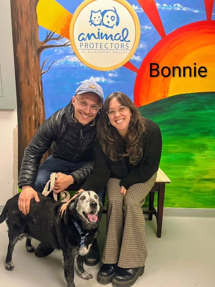 A Viral AI Video Showed Dogs Choosing Their Humans, And One Shelter Decided To Try It in Real Life (40 Pics)