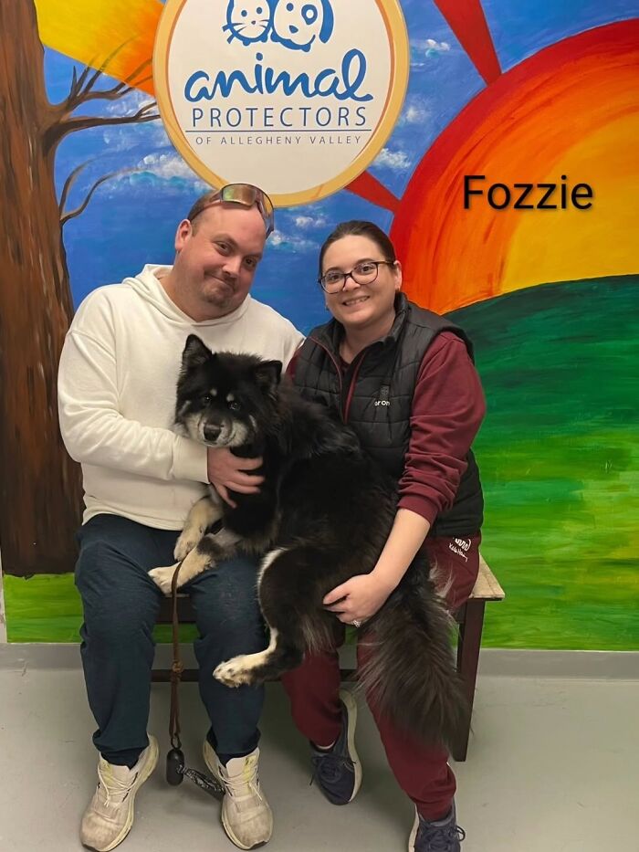 A Viral AI Video Showed Dogs Choosing Their Humans, And One Shelter Decided To Try It in Real Life (40 Pics)