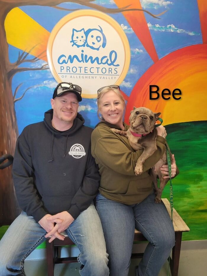 A Viral AI Video Showed Dogs Choosing Their Humans, And One Shelter Decided To Try It in Real Life (40 Pics)