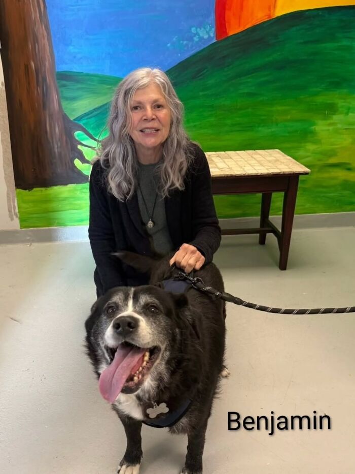 A Viral AI Video Showed Dogs Choosing Their Humans, And One Shelter Decided To Try It in Real Life (40 Pics)