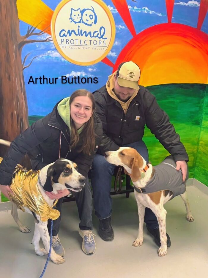 A Viral AI Video Showed Dogs Choosing Their Humans, And One Shelter Decided To Try It in Real Life (40 Pics)