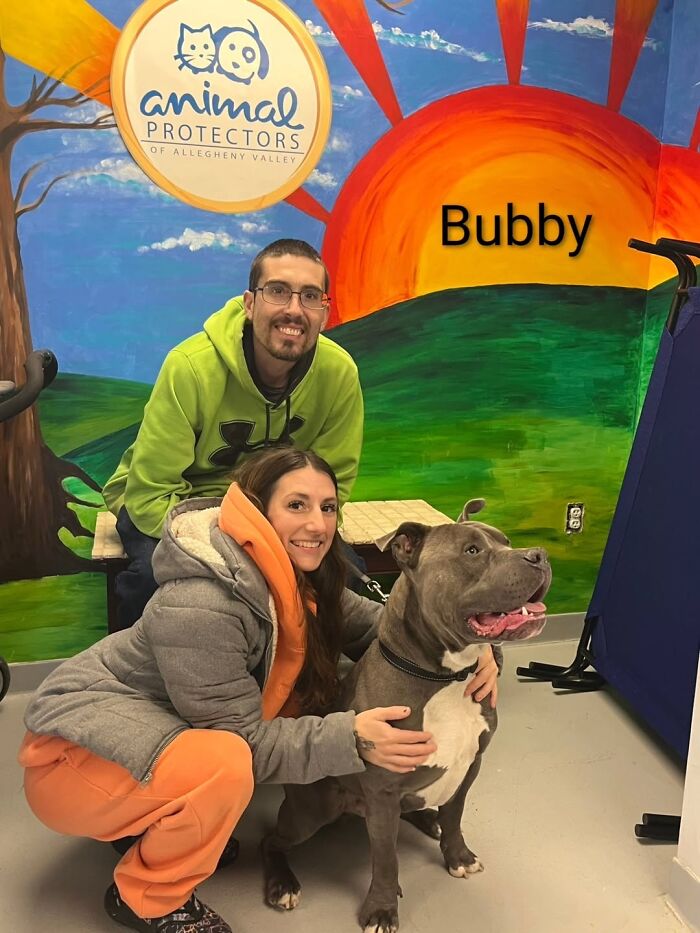 A Viral AI Video Showed Dogs Choosing Their Humans, And One Shelter Decided To Try It in Real Life (40 Pics)