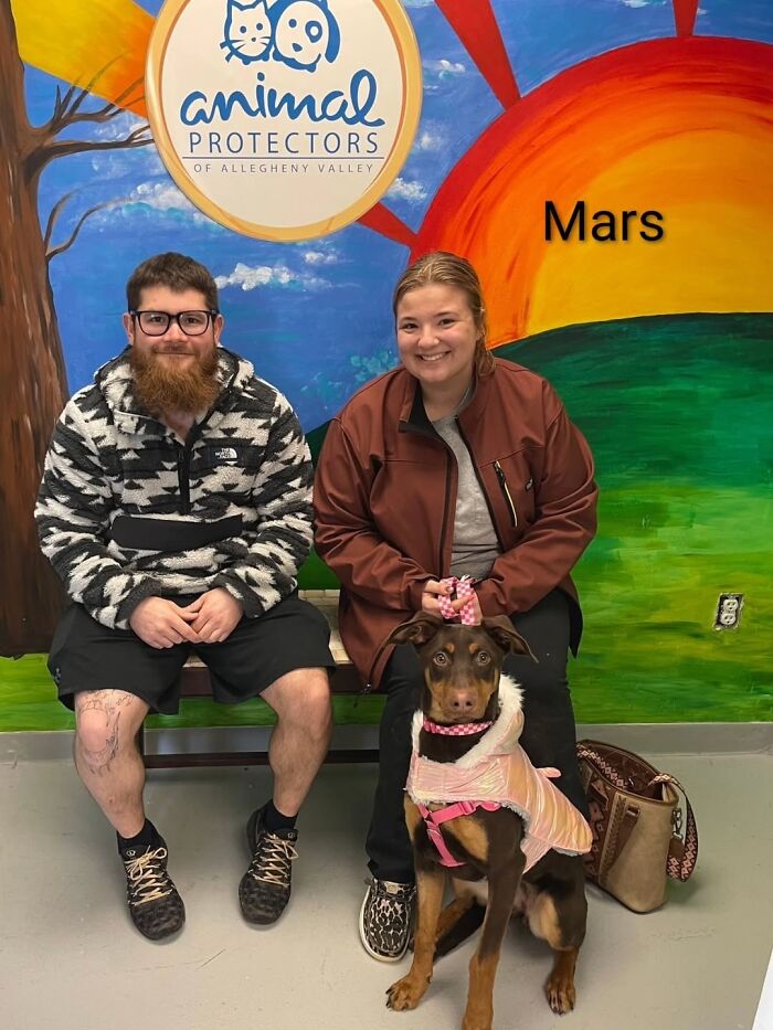 A Viral AI Video Showed Dogs Choosing Their Humans, And One Shelter Decided To Try It in Real Life (40 Pics)