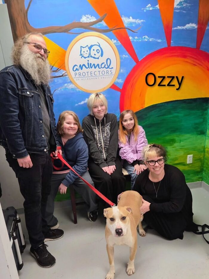 A Viral AI Video Showed Dogs Choosing Their Humans, And One Shelter Decided To Try It in Real Life (40 Pics)