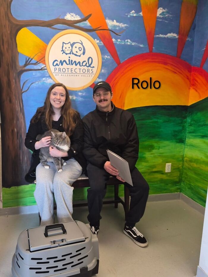 A Viral AI Video Showed Dogs Choosing Their Humans, And One Shelter Decided To Try It in Real Life (40 Pics)