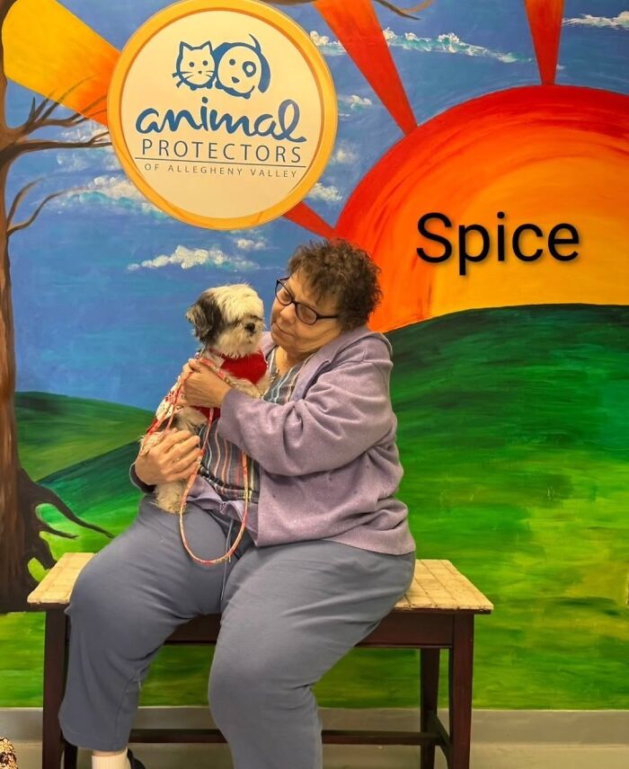 A Viral AI Video Showed Dogs Choosing Their Humans, And One Shelter Decided To Try It in Real Life (40 Pics)