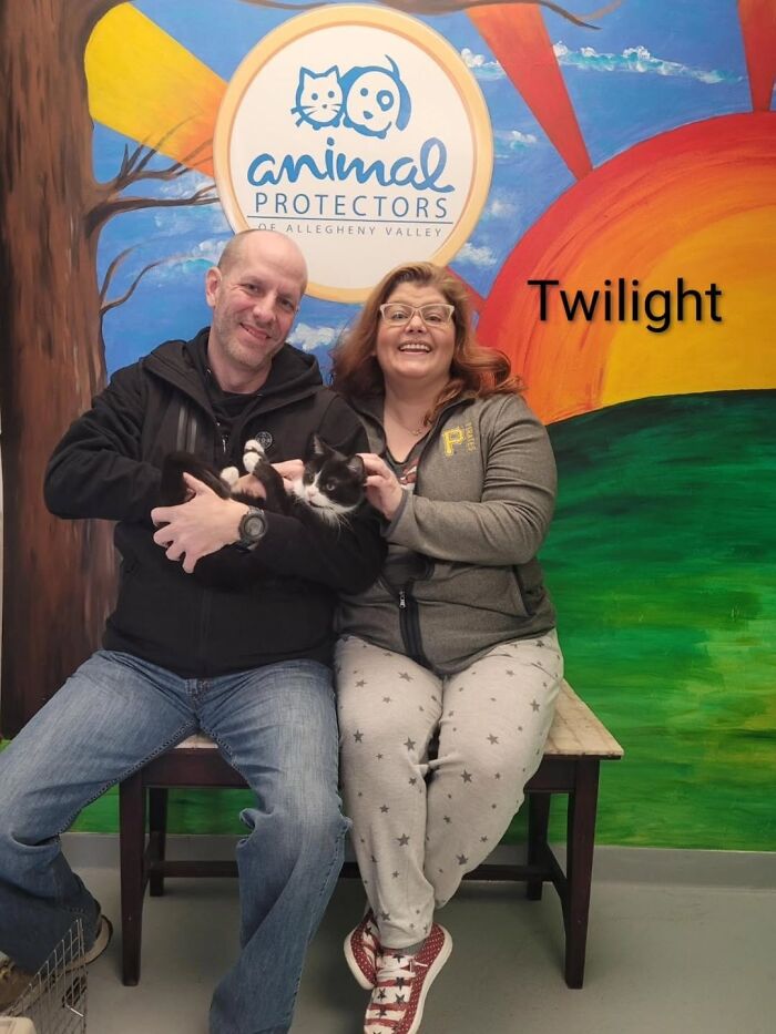 A Viral AI Video Showed Dogs Choosing Their Humans, And One Shelter Decided To Try It in Real Life (40 Pics)