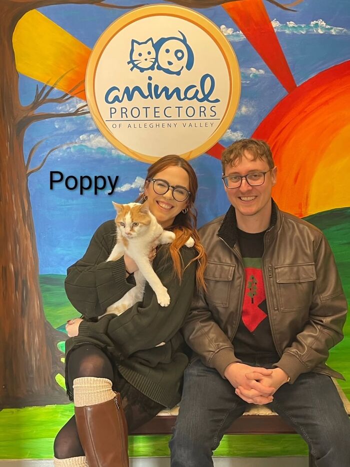 A Viral AI Video Showed Dogs Choosing Their Humans, And One Shelter Decided To Try It in Real Life (40 Pics)