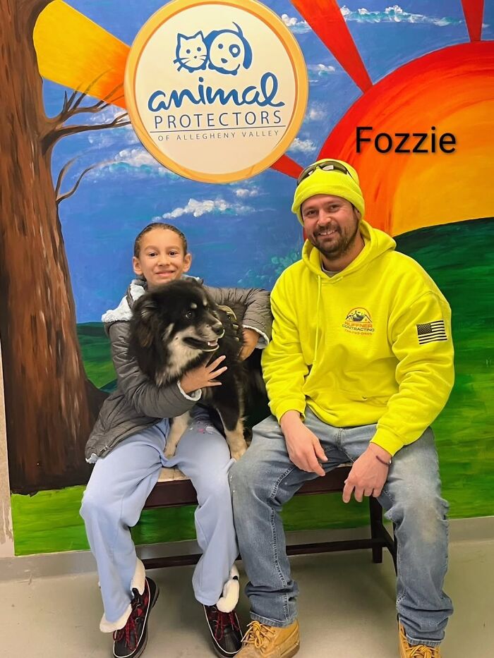 A Viral AI Video Showed Dogs Choosing Their Humans, And One Shelter Decided To Try It in Real Life (40 Pics)