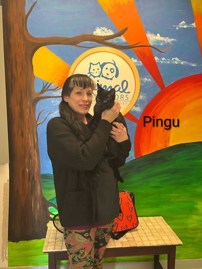 A Viral AI Video Showed Dogs Choosing Their Humans, And One Shelter Decided To Try It in Real Life (40 Pics)