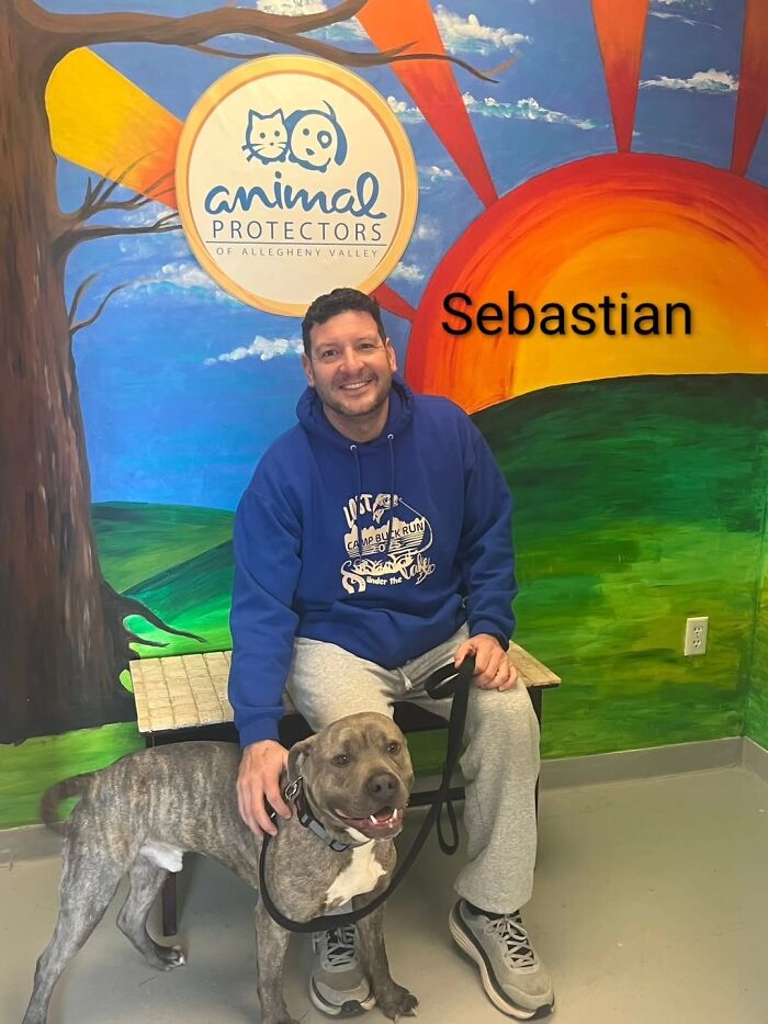 A Viral AI Video Showed Dogs Choosing Their Humans, And One Shelter Decided To Try It in Real Life (40 Pics)