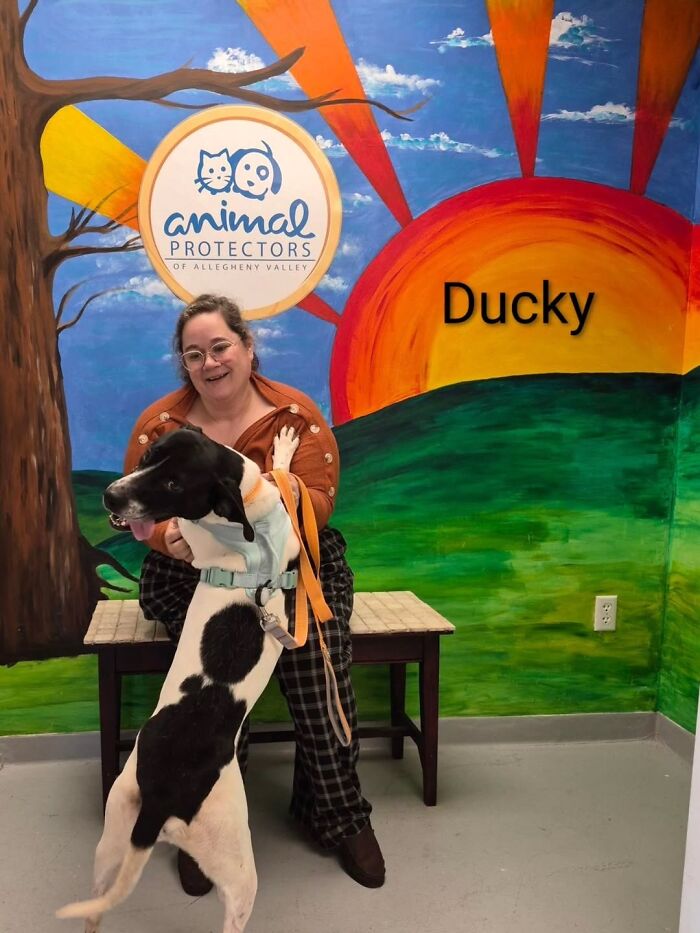 A Viral AI Video Showed Dogs Choosing Their Humans, And One Shelter Decided To Try It in Real Life (40 Pics)