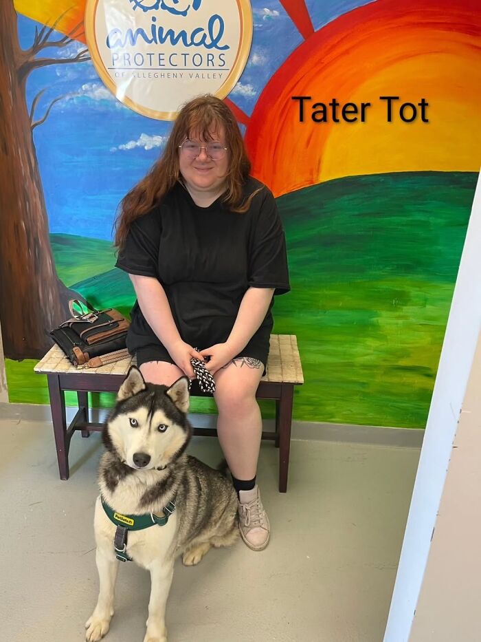 A Viral AI Video Showed Dogs Choosing Their Humans, And One Shelter Decided To Try It in Real Life (40 Pics)