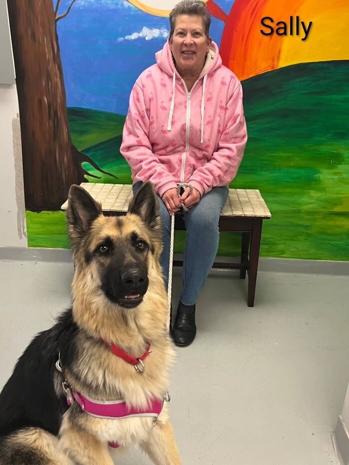 A Viral AI Video Showed Dogs Choosing Their Humans, And One Shelter Decided To Try It in Real Life (40 Pics)