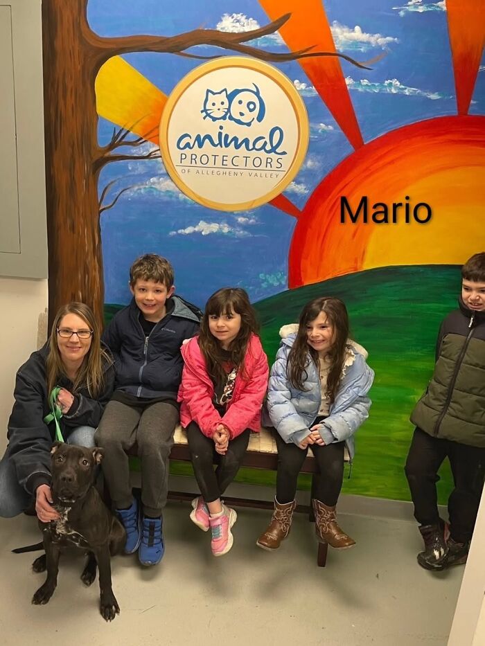 A Viral AI Video Showed Dogs Choosing Their Humans, And One Shelter Decided To Try It in Real Life (40 Pics)