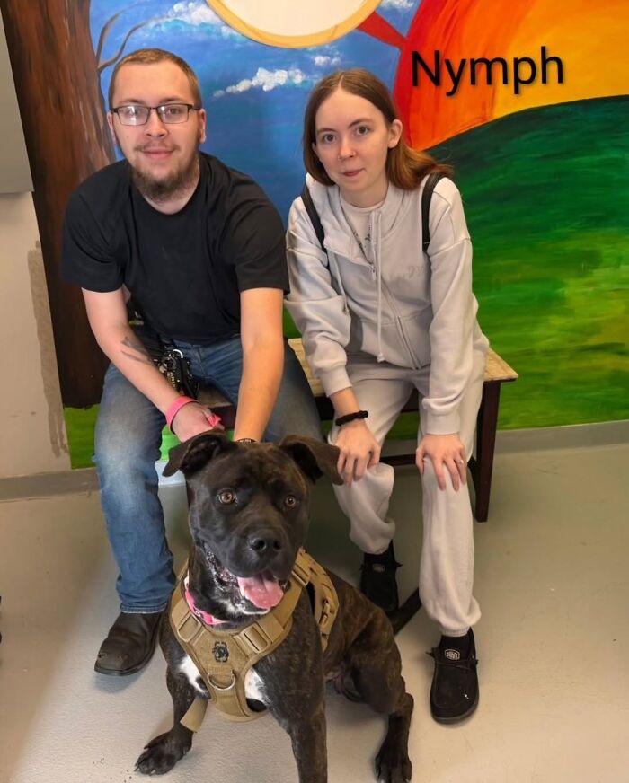 A Viral AI Video Showed Dogs Choosing Their Humans, And One Shelter Decided To Try It in Real Life (40 Pics)